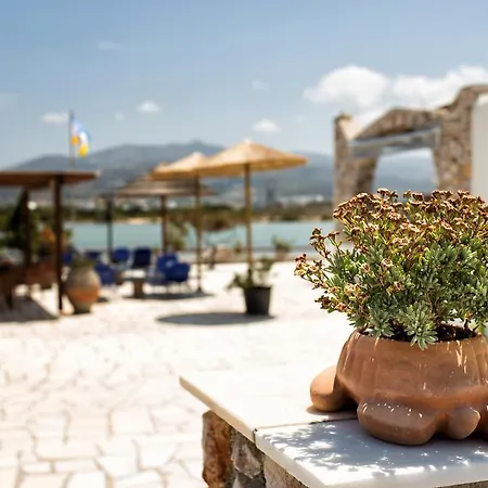 Theologos Апартаменты