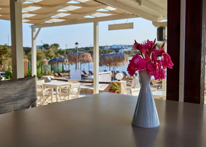 Theologos Apartament *