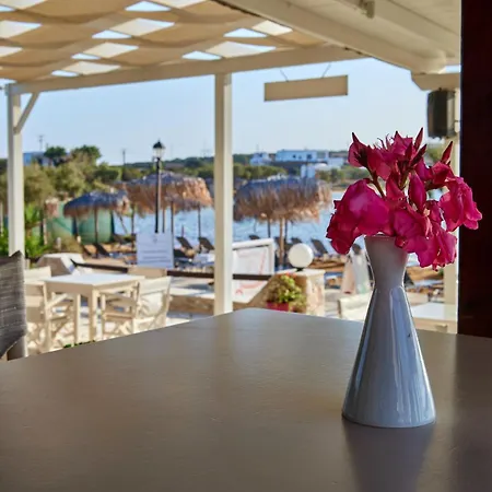 Theologos Apartment *